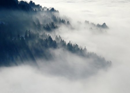 Туман долинами пливе