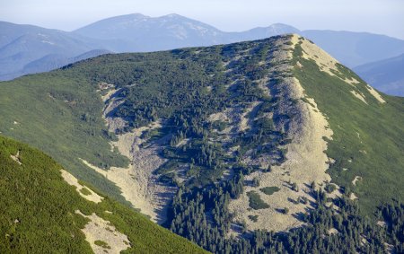 Проблеми збереження гірських екосистем та сталого використання біологічних ресурсів Карпат