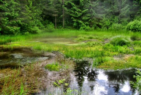 Охорона водно-болотних угідь України - це справа кожної людини
